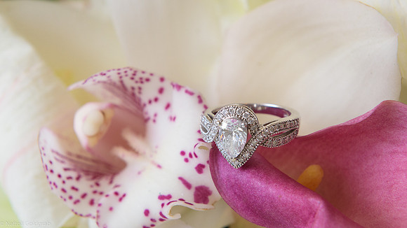 NMG_0989-2